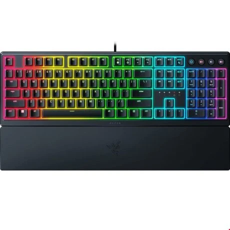 ornata-v3